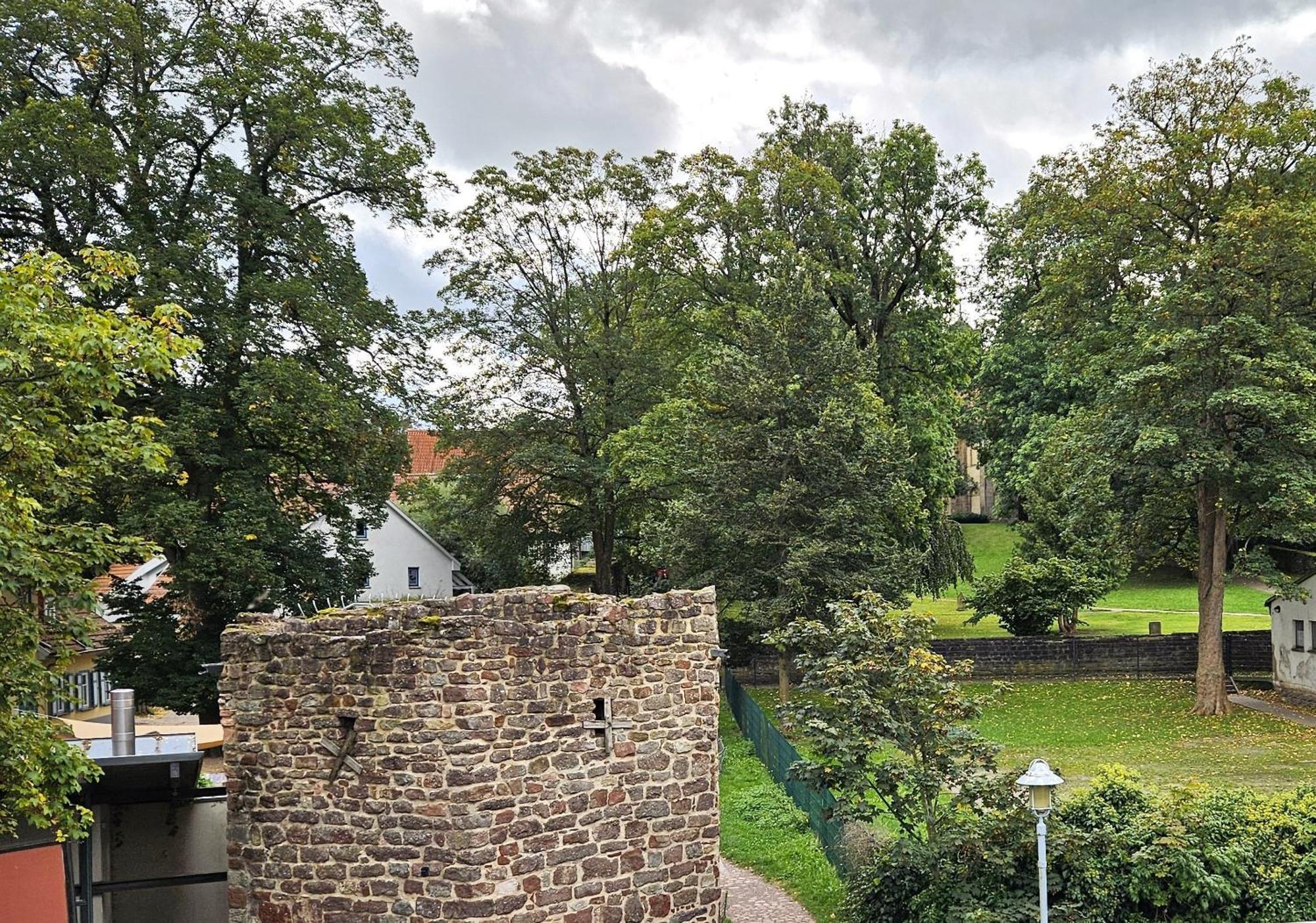 Am Storchenturm Im Hellgrevenhof * Eisenach